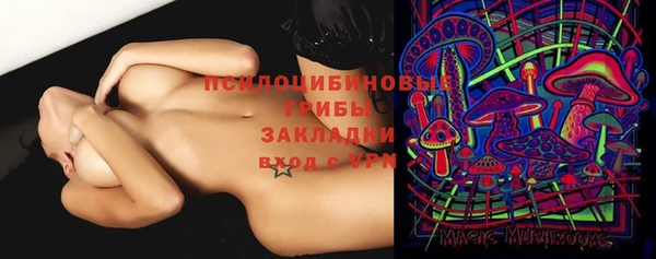 круглые Аркадак