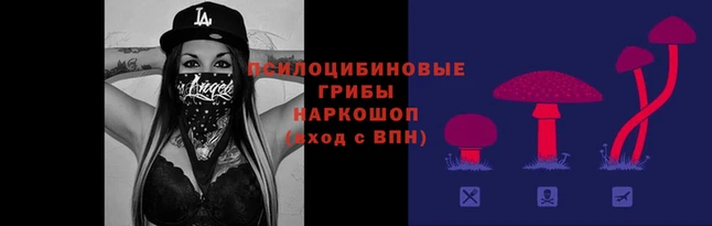 круглые Аркадак