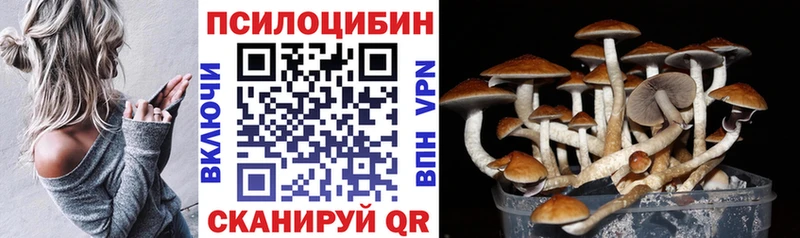 Псилоцибиновые грибы мухоморы  Волхов 
